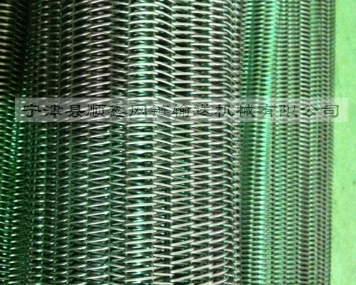 安徽高温不锈钢直轴型网带